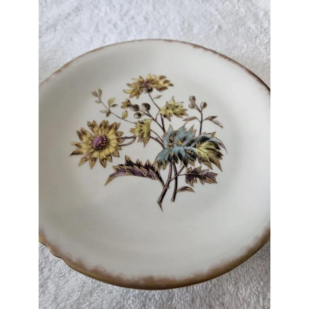 2 Antique Limoges Plates 8